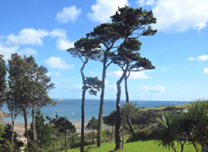 View from House at Maenporth